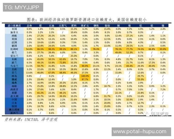 巴西与德国对决裁判组分析及其对比赛结果的影响探讨