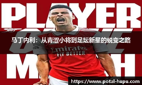 虎扑体育nba