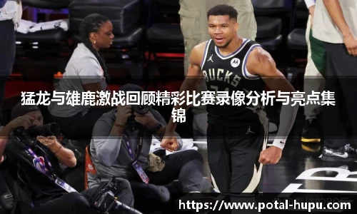 虎扑体育nba