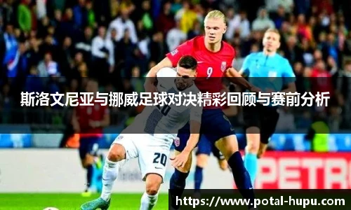 虎扑体育nba